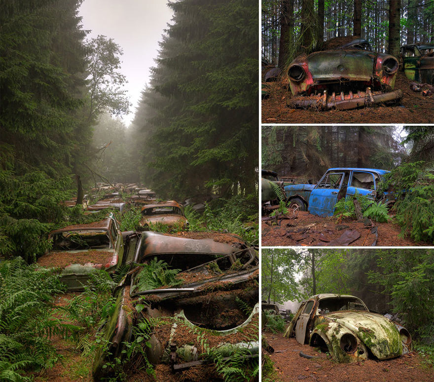 naturaleza-recupera-lugares-abandonados-10