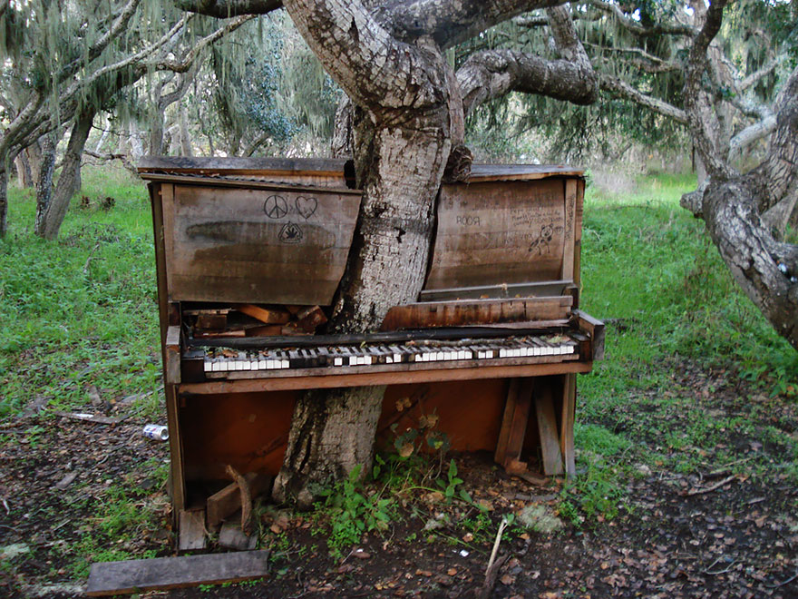 naturaleza-recupera-lugares-abandonados-11