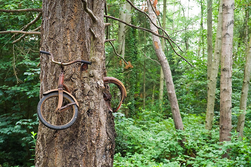 naturaleza-recupera-lugares-abandonados-12