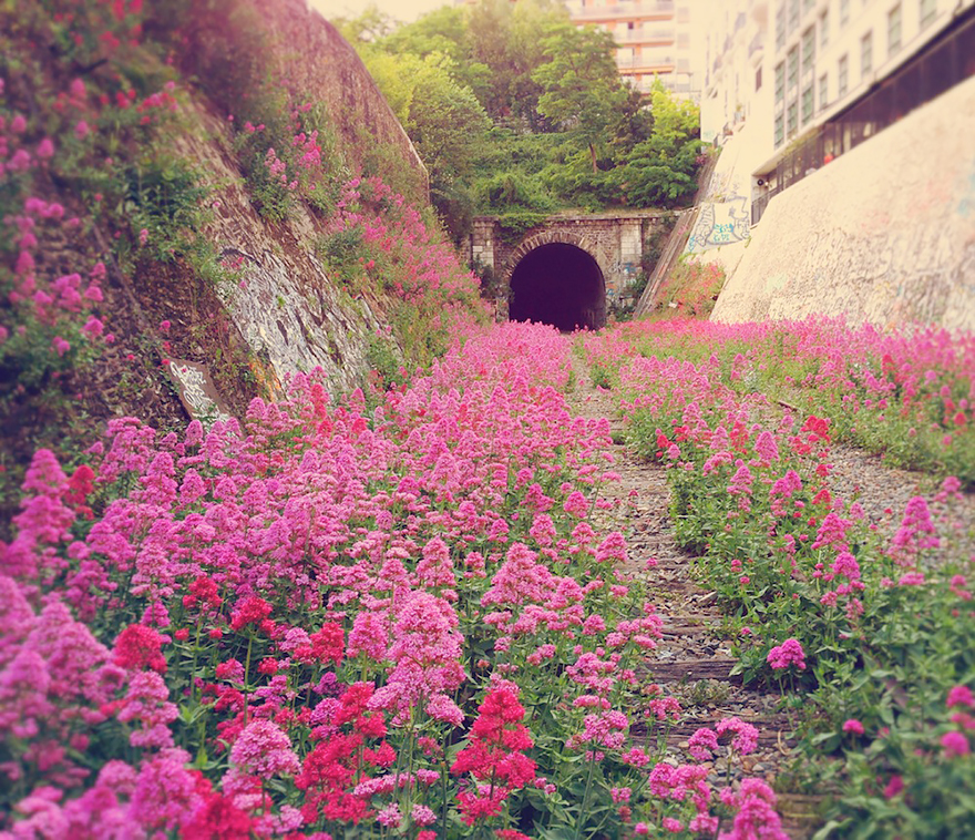 naturaleza-recupera-lugares-abandonados-16