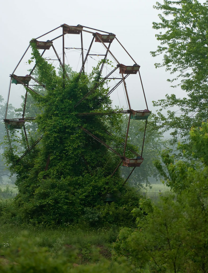 naturaleza-recupera-lugares-abandonados-18