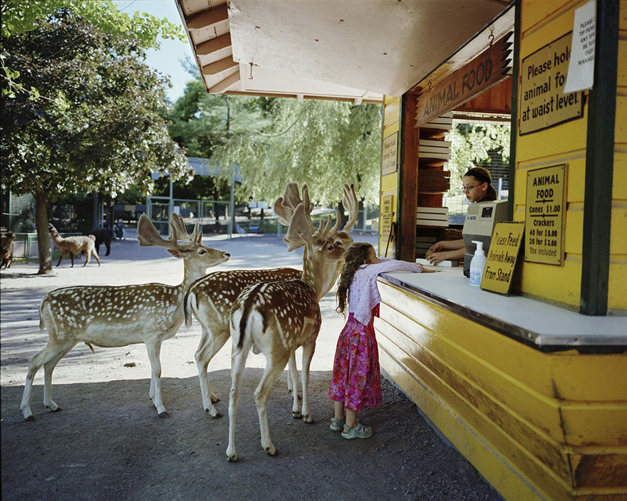 amelia-animales-exoticos-fotografia-robin-schwartz (23)