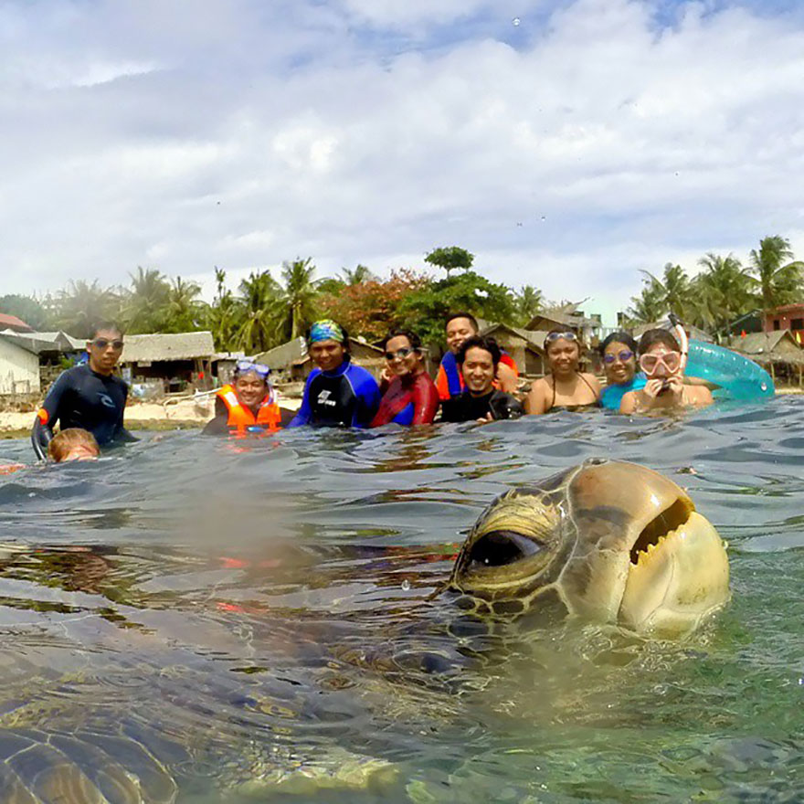 animales-photobomb-divertido (18)