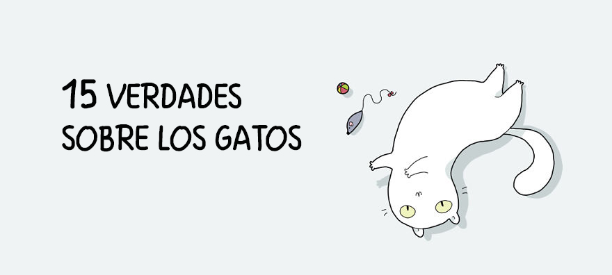 guia-ilustrada-verdades-gatos-1