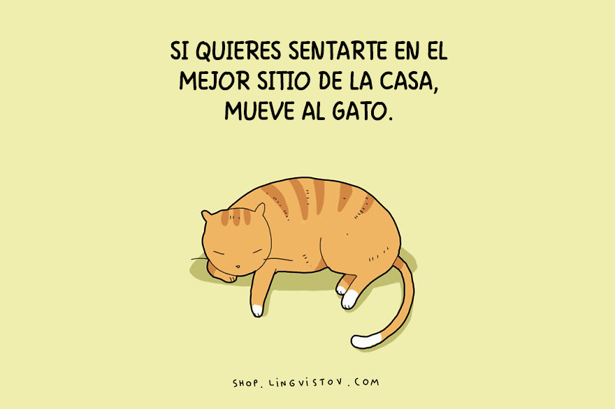 guia-ilustrada-verdades-gatos-11