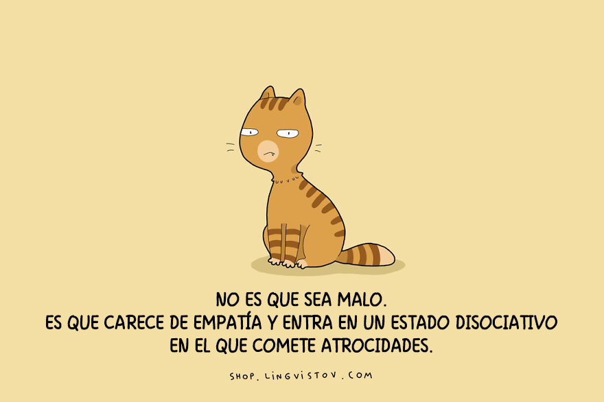 guia-ilustrada-verdades-gatos-13