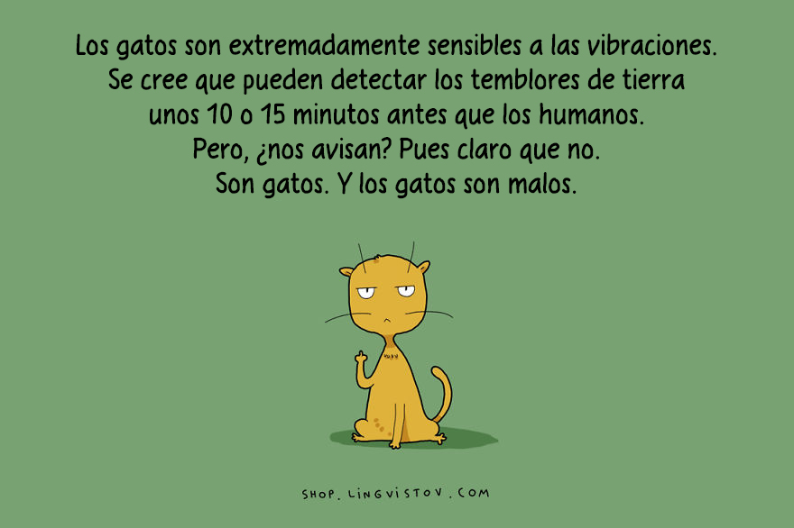 guia-ilustrada-verdades-gatos-14