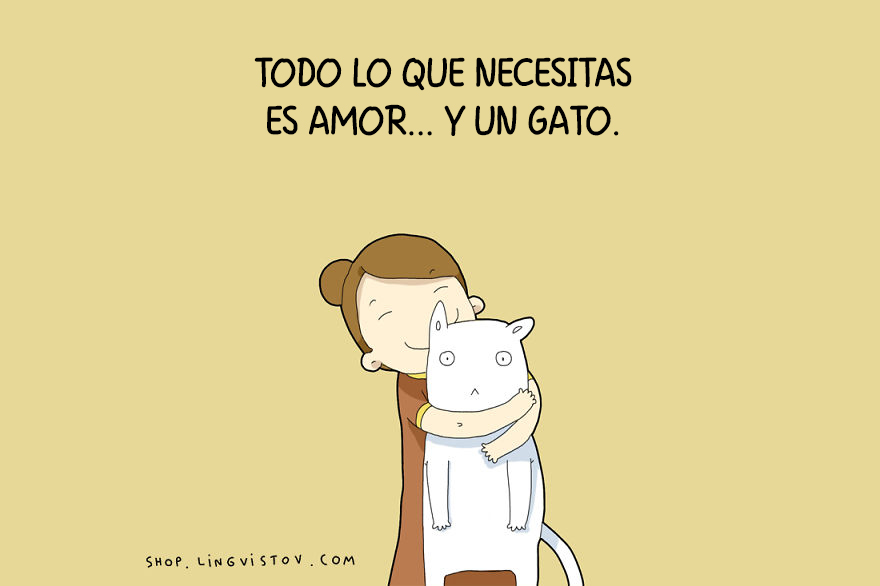 guia-ilustrada-verdades-gatos-15