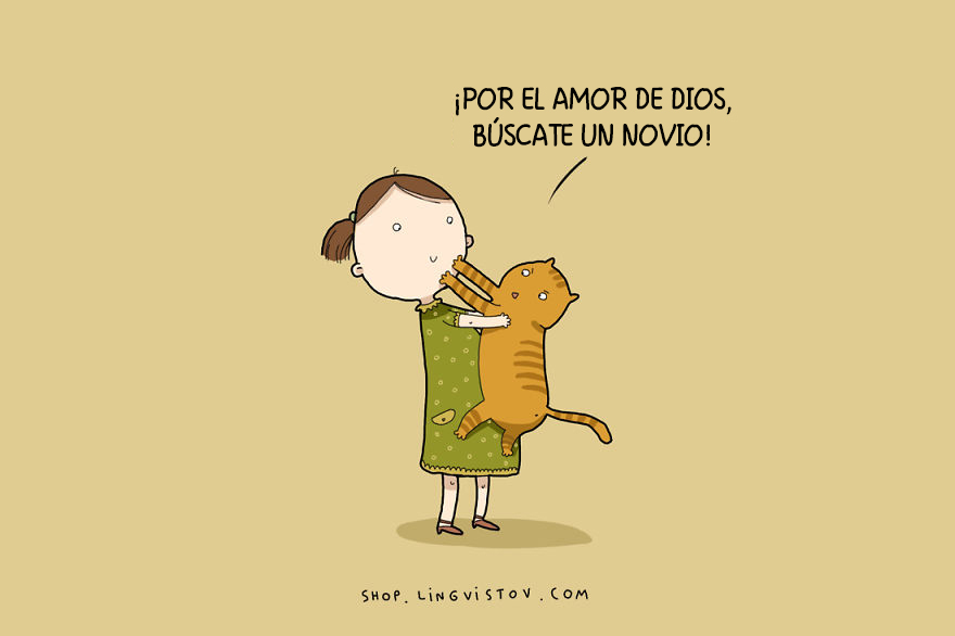 guia-ilustrada-verdades-gatos-17