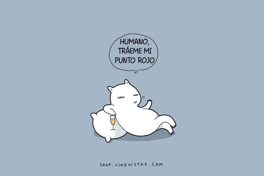 guia-ilustrada-verdades-gatos-2