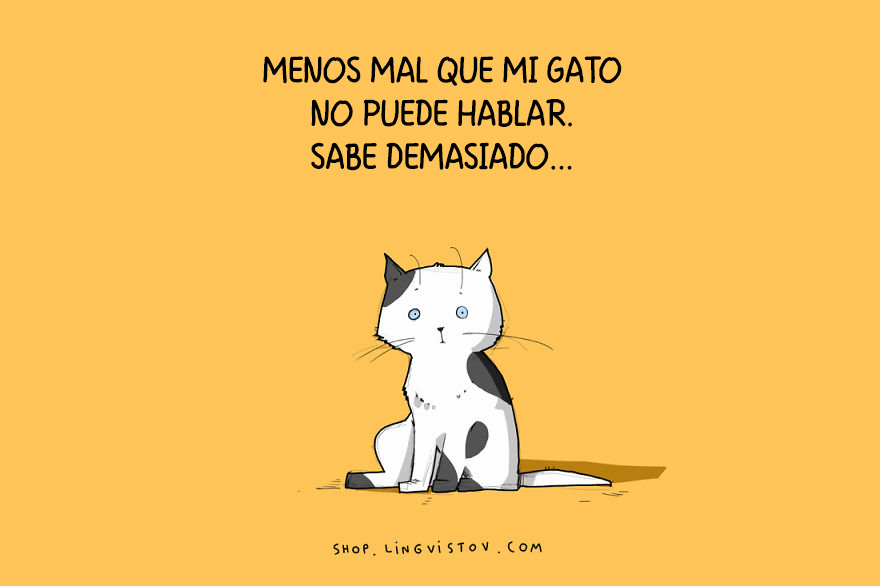 guia-ilustrada-verdades-gatos-3