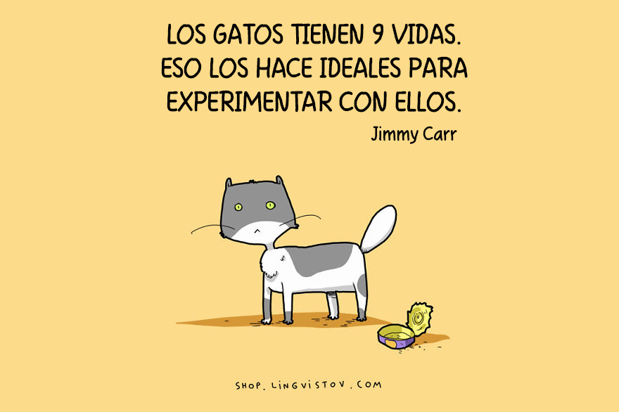 guia-ilustrada-verdades-gatos-5