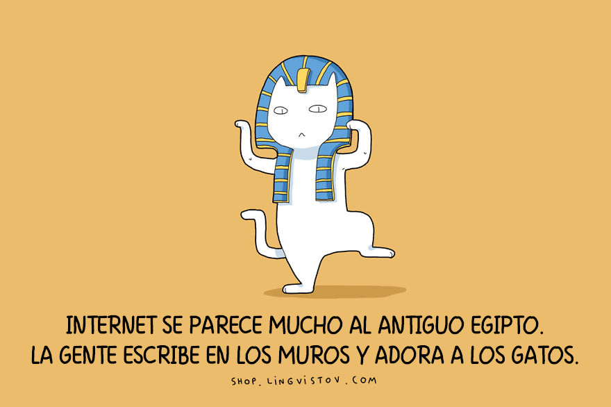 guia-ilustrada-verdades-gatos-7