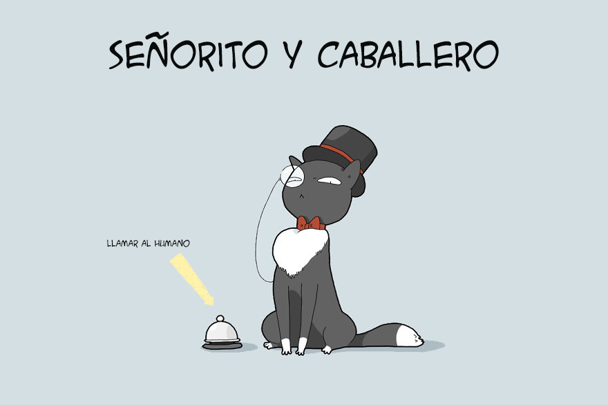 ilustraciones-tipos-gatos-lingvistov-(9)