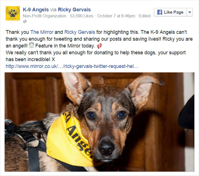 tuit-ricky-gervais-ayuda-refugio-perros-k9-angels (11)