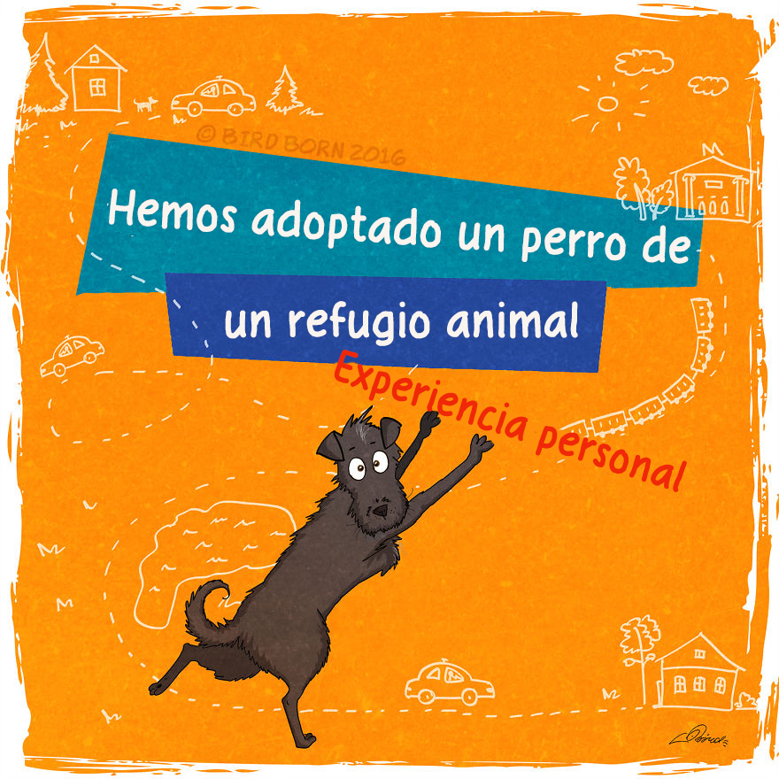 comic-perro-adoptado-bird-born-1