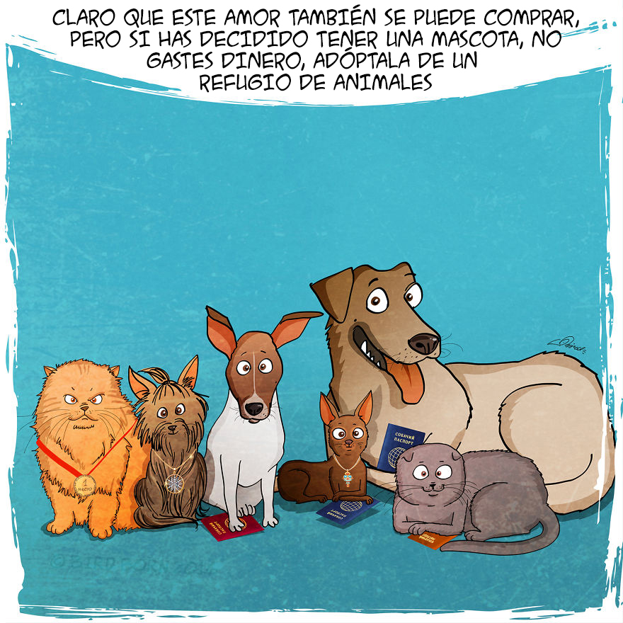 comic-perro-adoptado-bird-born-10