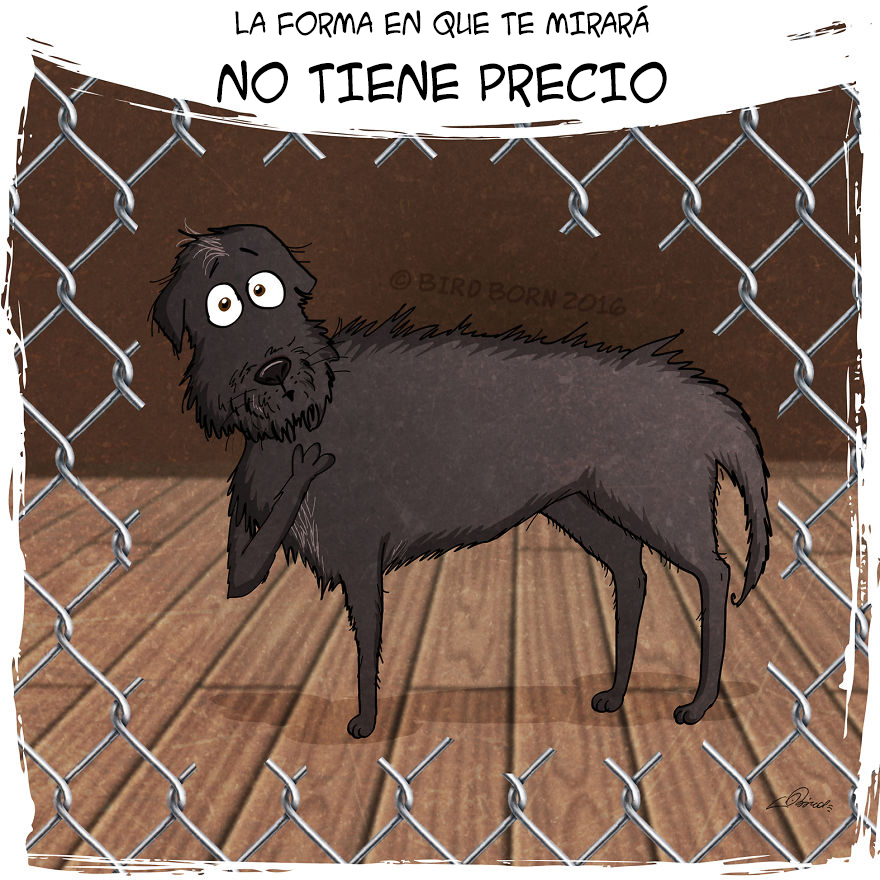 comic-perro-adoptado-bird-born-11