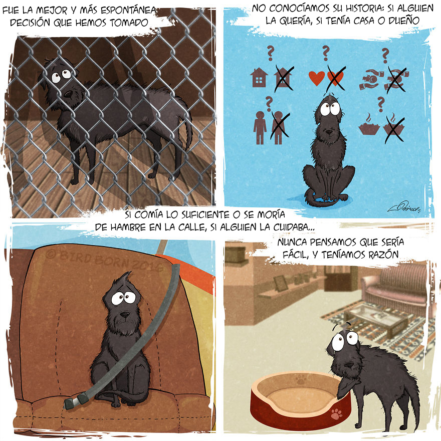 comic-perro-adoptado-bird-born-2