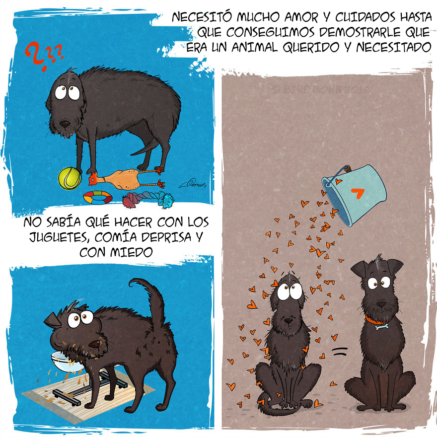 comic-perro-adoptado-bird-born-4