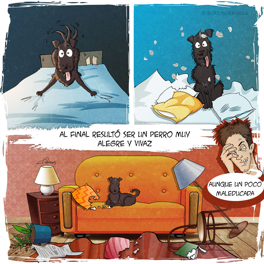 comic-perro-adoptado-bird-born-5