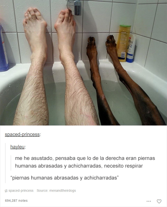 tumblrdogs14