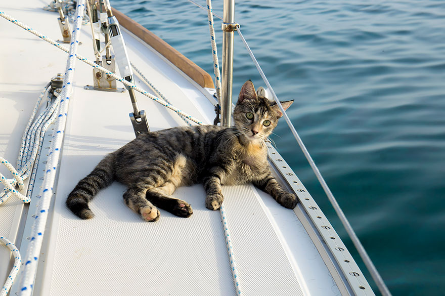 Esta pareja lo vendió todo para viajar por el mundo en barco con ...