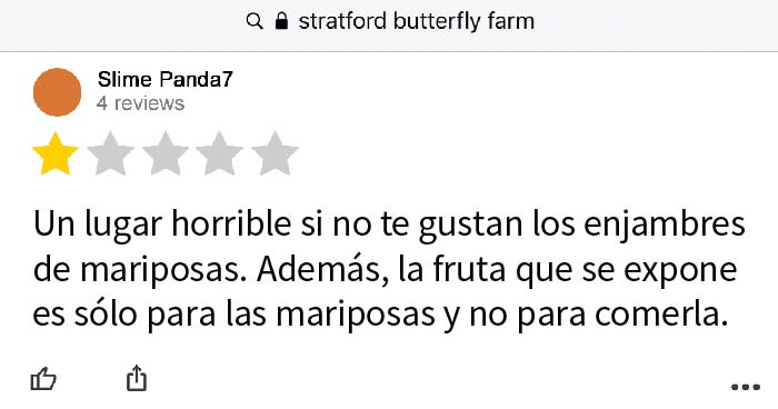 El drama en las reseñas de Google es absolutamente insuperable»: En este hilo comparten las reseñas más salvajes