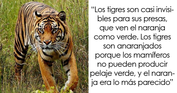 «Hoy aprendí»: 25 Datos que demuestran que nunca es tarde para aprender (nuevas imágenes)