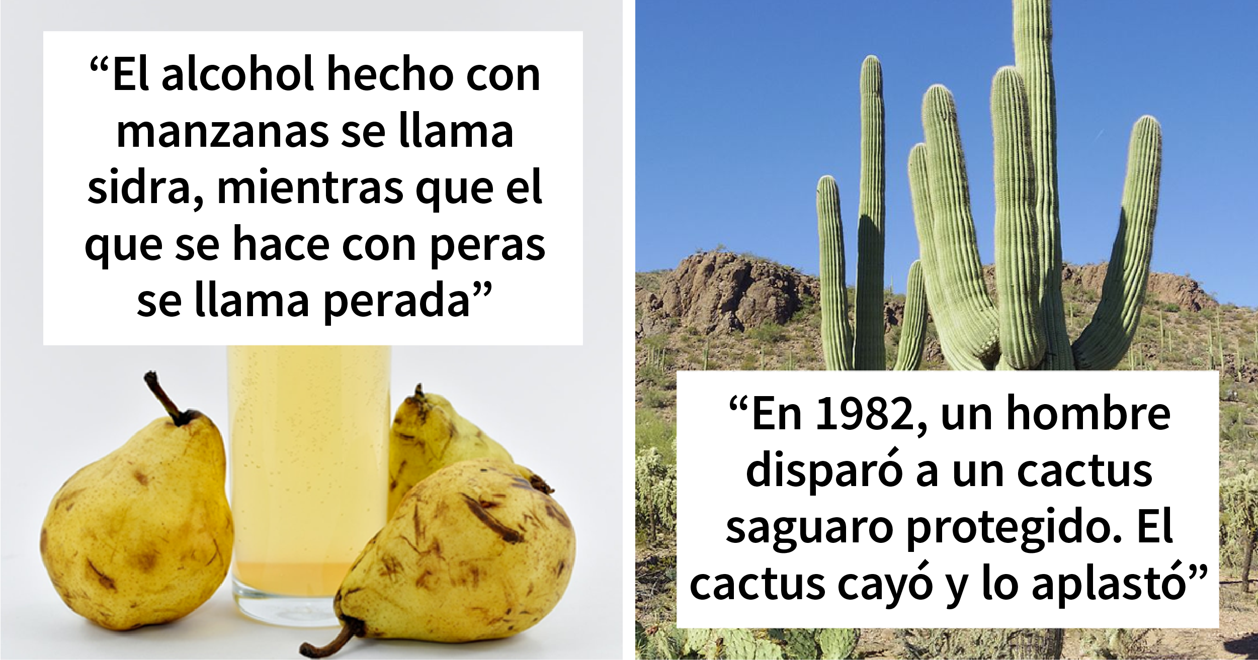 «Hoy aprendí»: 20 Datos que demuestran que nunca es tarde para aprender (nuevas imágenes)