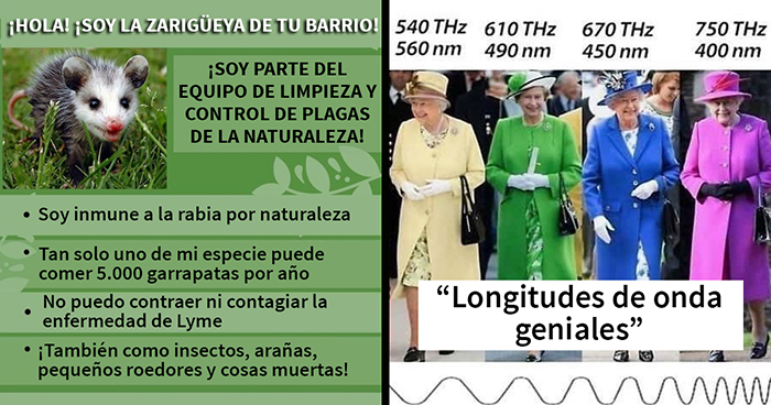 12 «Guías geniales» con información que no enseñan en las escuelas (nuevas imágenes)