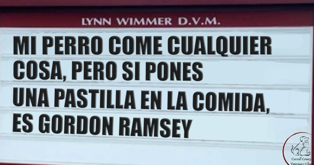 20 Divertidos carteles frente a esta clínica veterinaria que te harán sonreír