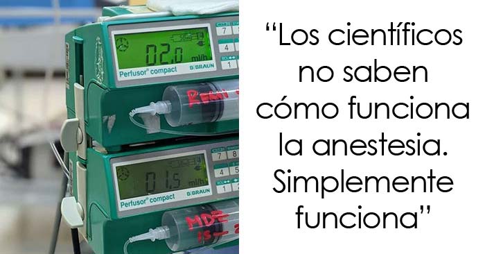 30 datos aleatorios que parecen falsos pero no lo son, compartidos en este foro online