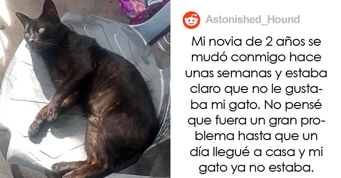 Esta mujer recibió su merecido tras echar de casa al gato de su novio mientras él no estaba