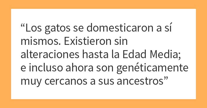 «Hoy aprendí»: 25 Datos que demuestran que nunca es tarde para aprender (nuevas fotos)