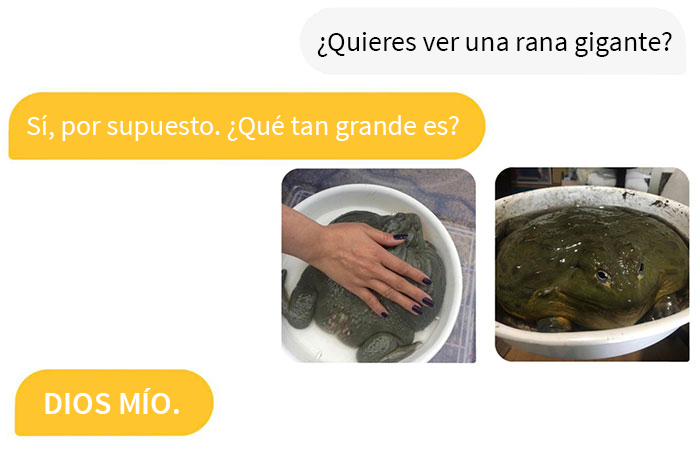 16 Conversaciones en Bumble que dieron un giro tan inesperado que la gente no pudo evitar compartirlas