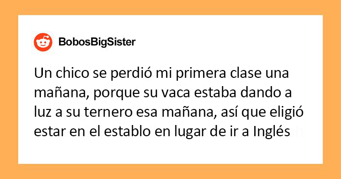 20 Profesores comparten las increíbles excusas de estudiantes por llegar tarde que resultaron ser 100% ciertas