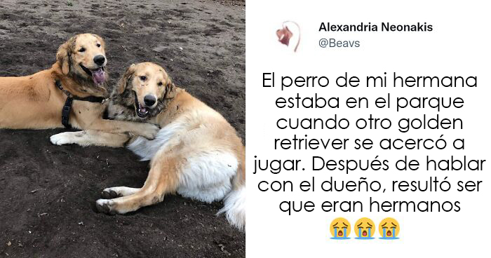 20 Publicaciones que muestran lo peor y lo mejor de Twitter