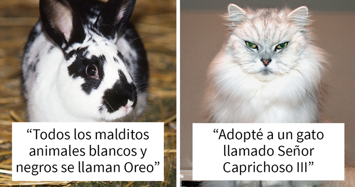 20 Nombres de mascotas que los miembros de esta comunidad en línea piensan que son los peores