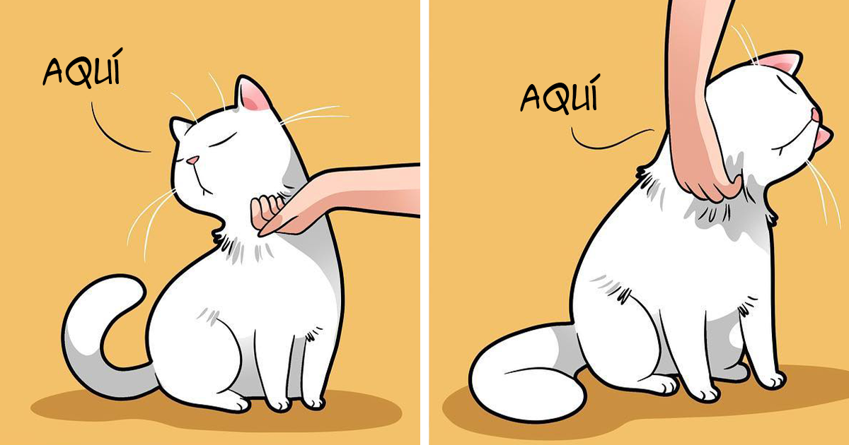 Esta artista ilustra cómo es vivir con un gato (25 nuevos cómics)