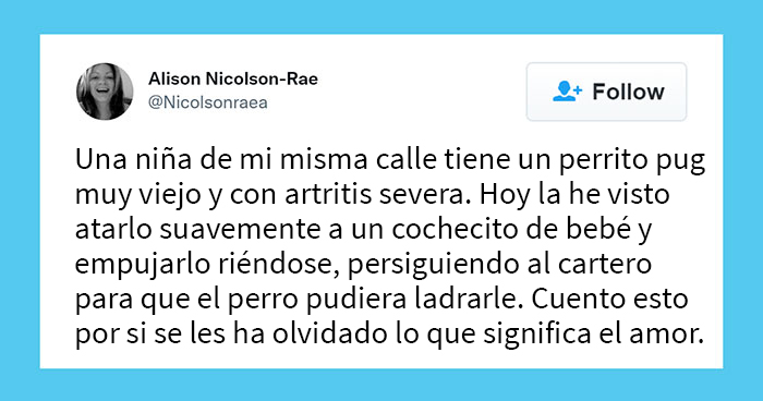 20 Publicaciones adorables compartidas por la cuenta más reconfortante en internet (Nuevas imágenes)