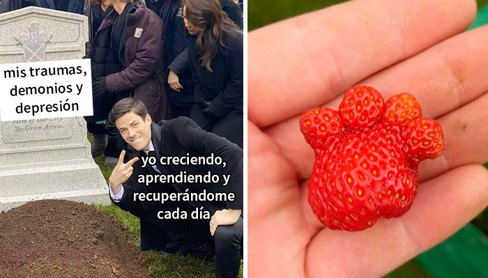 20 Memes y publicaciones reconfortantes que nos recuerdan que el mundo no es del todo malo