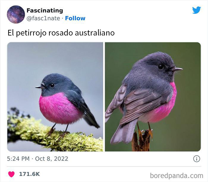 This Twitter Page Shares Interesting Facts About The World, And Here Are 45 That Might Surprise You