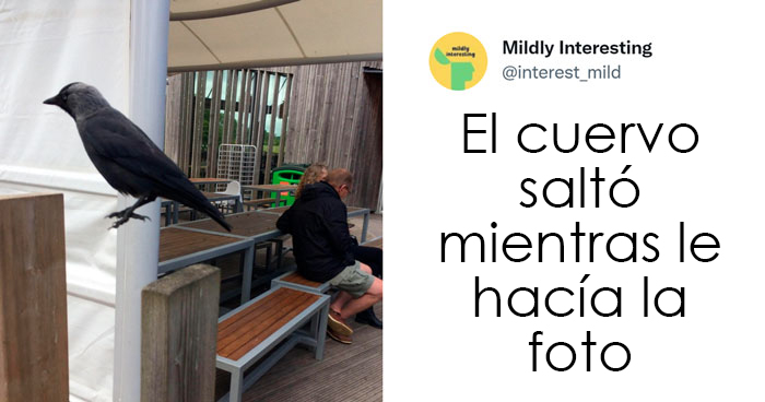 20 Nuevas imágenes bastante interesantes de esta cuenta de Twitter