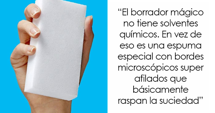 «Hoy aprendí»: 35 nuevos datos curiosos que tú también puedes aprender hoy