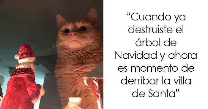 20 Memes navideños que te pondrán de buen humor (nuevas imágenes)