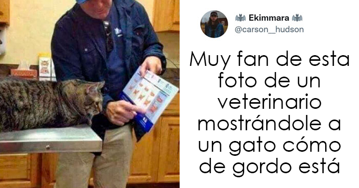 20 Memes geniales de esta página con «humor para hombres» con 11 millones de seguidores