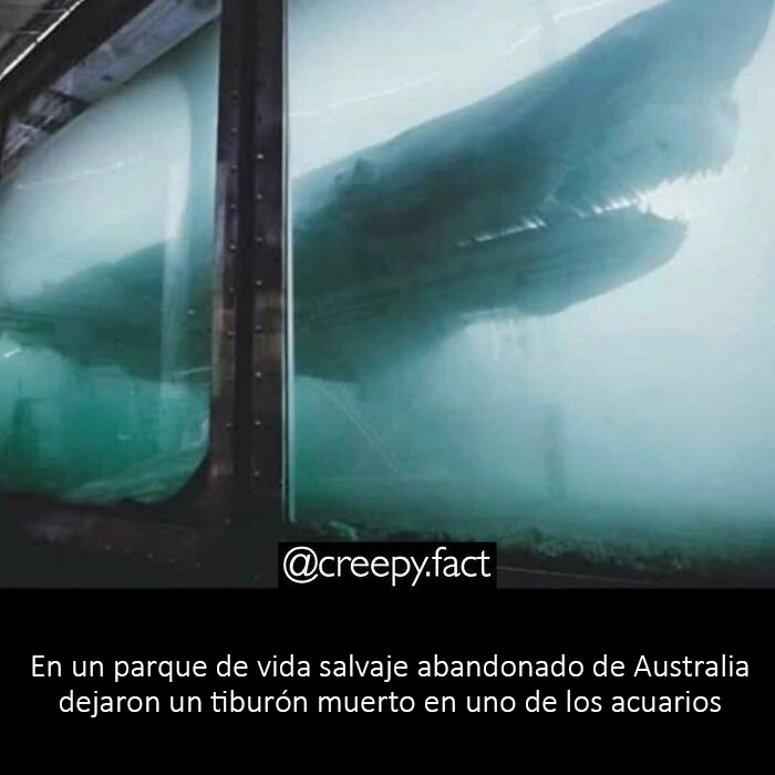 21 Creepy Facts Not For The Faint-Hearted, As Shared On This Instagram Page