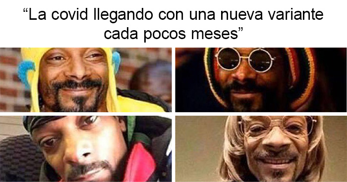 20 Memes sobre la vida cotidiana con los que te partirás de risa