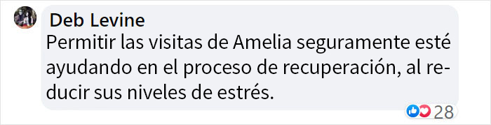 Este ganso llamó a la puerta del centro veterinario donde estaban operando a su pareja, exigiendo verla